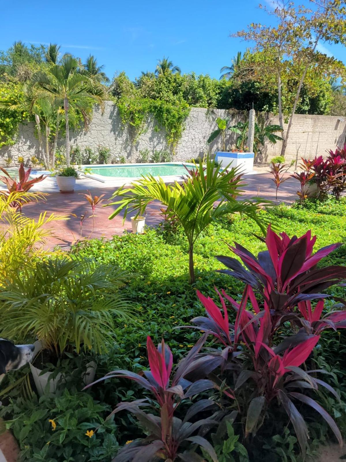La Pucca Hotel Boutique Resort ペニータ・デ・ハルテンバ エクステリア 写真