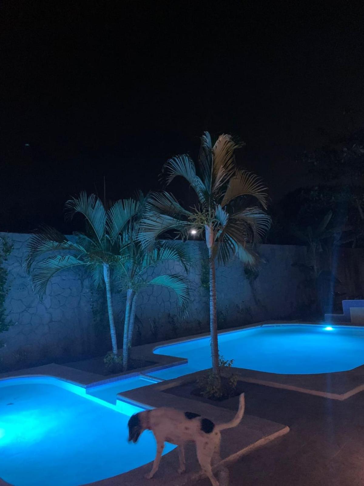 La Pucca Hotel Boutique Resort ペニータ・デ・ハルテンバ エクステリア 写真